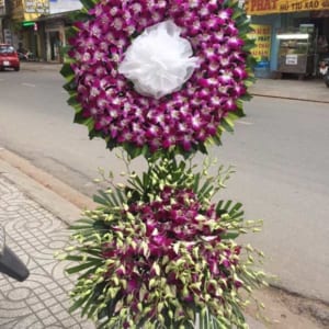 ke-hoa-chia-buon-loi-tien-biet-120321