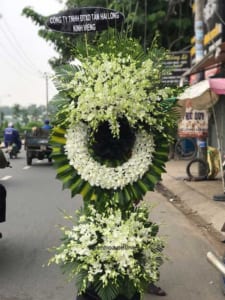 ke-hoa-chia-buon-thanh-kinh-phan-uu-140321