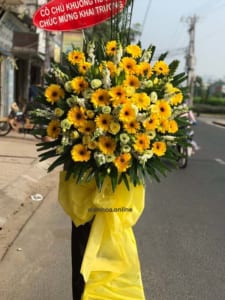 ke-hoa-khai-truong-hong-phat-02-130321